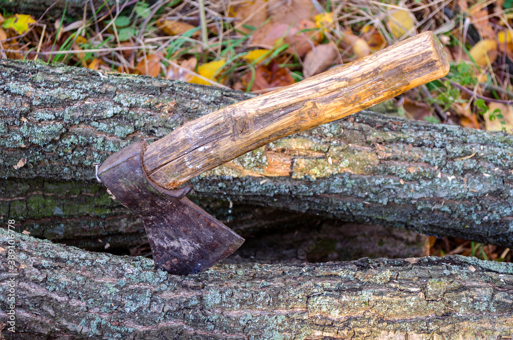 Chopped trees and an ax in the deck Chopped trees and an ax in the deck