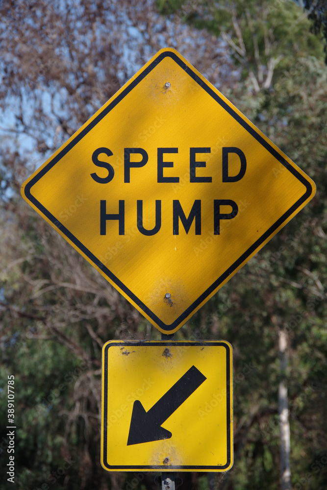 Close-up view of a yellow and black traffic sign SPEED HUMP and and arrow sign pointing at that location