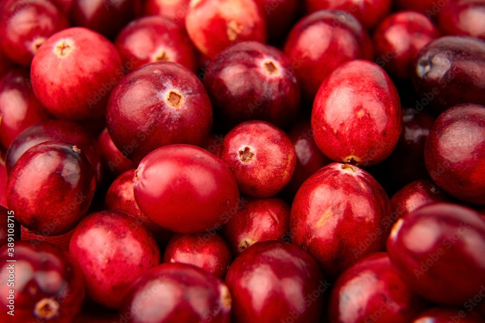 Cranberries, fresh red berries food background Cranberries, fresh red berries food background
