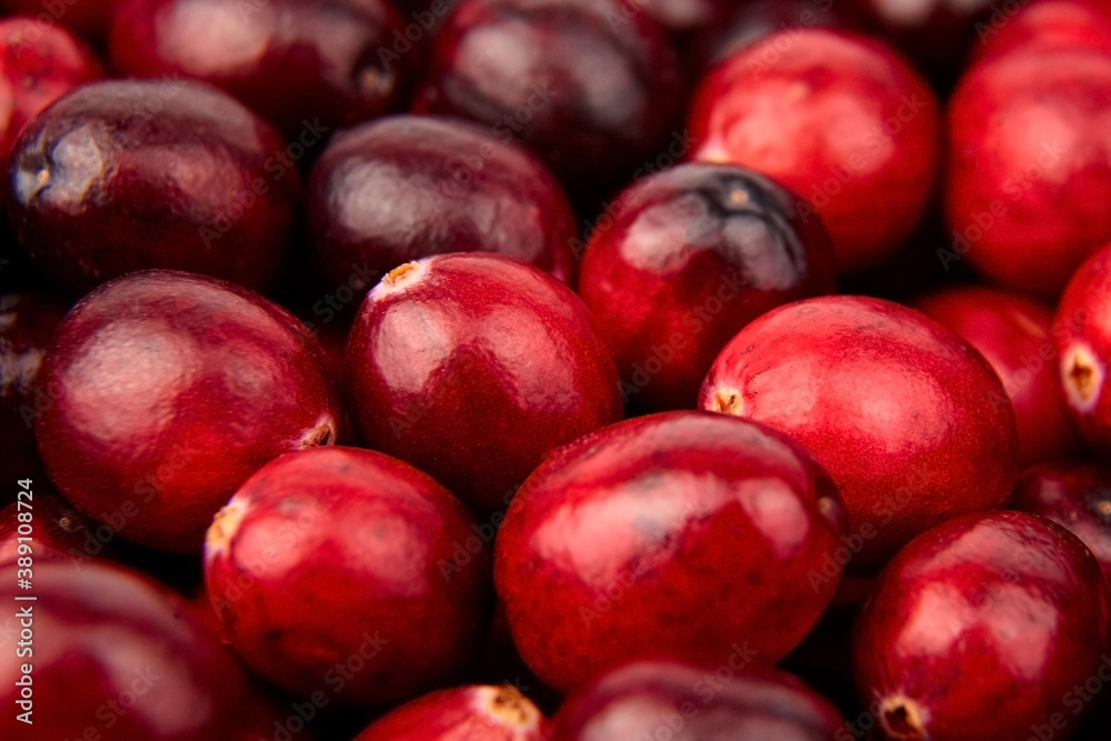 Cranberries, fresh red berries food background Cranberries, fresh red berries food background