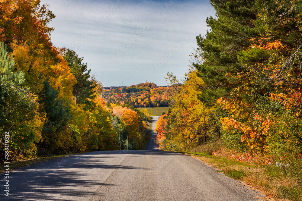 Fototapeta premium Fall Colours Northumberland Ontario