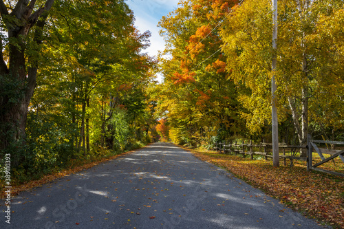 Fall Colours Northumberland Ontario photo