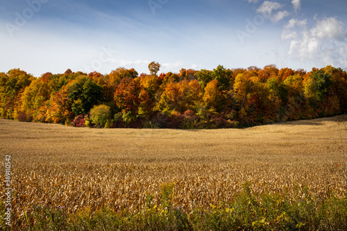 Fall Colours Northumberland Ontario photo