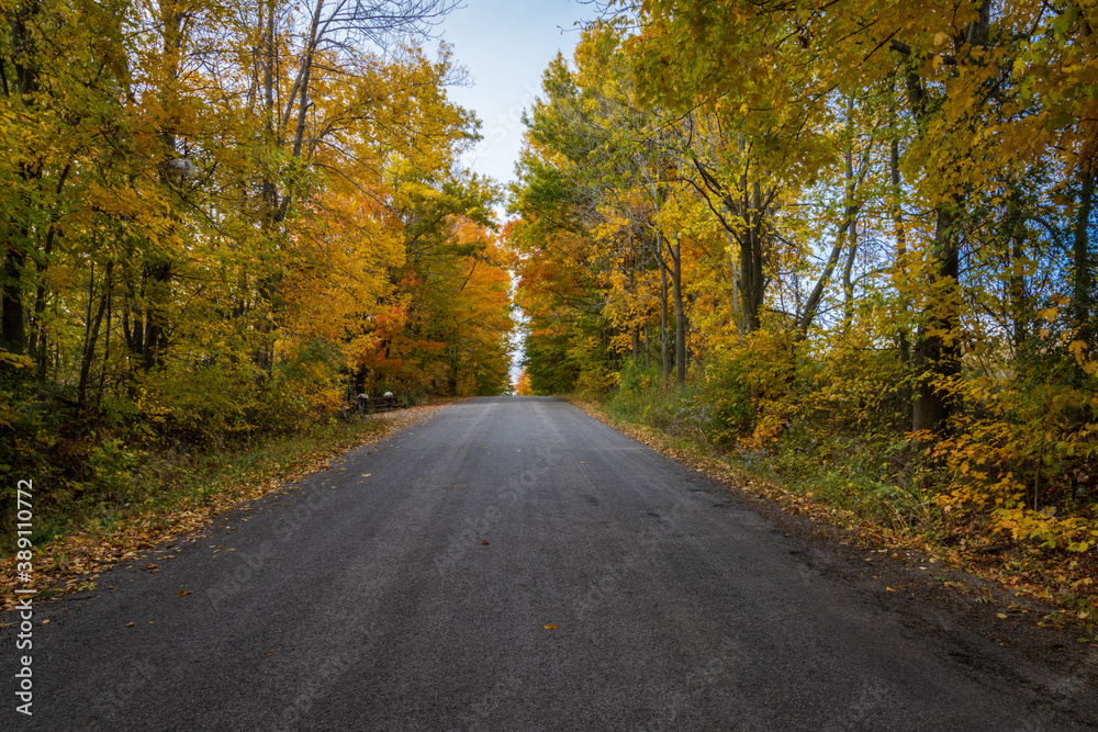 Fall Colours Northumberland Ontario