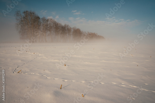 footprints in the snow