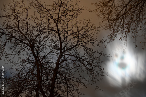 Fototapeta ghostly night sky