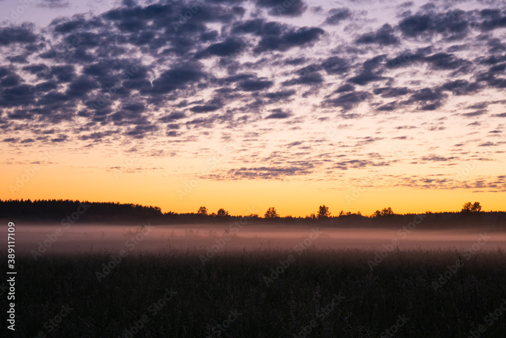 Orange sunset in the background of the forest.