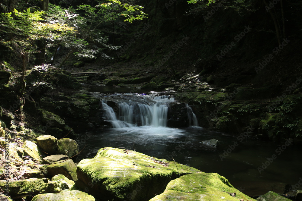 暗い森の滝 暗い森の滝