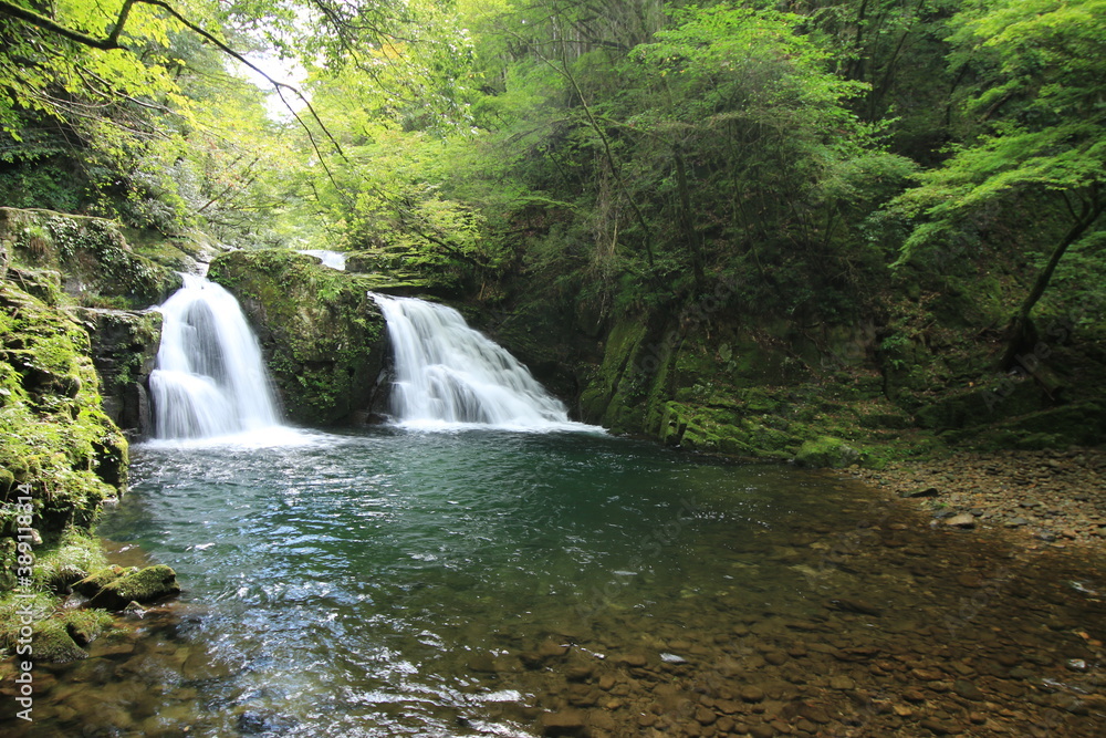Fototapeta premium 滝の風景