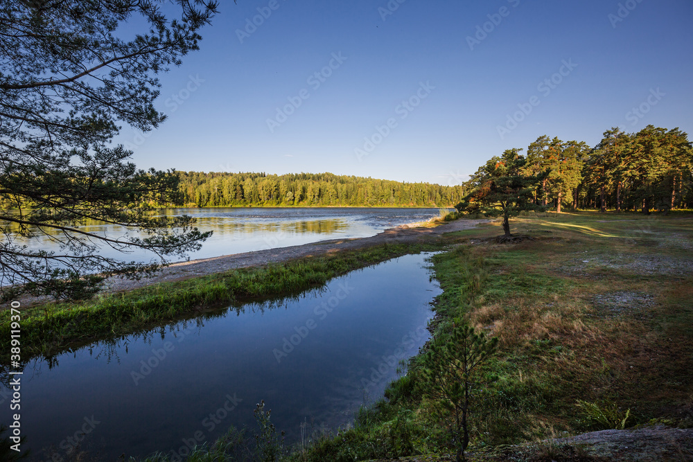 Summer landscape with the river Biya. The Village Of Turochak, Altai Republic