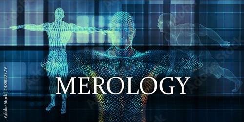 Merology photo