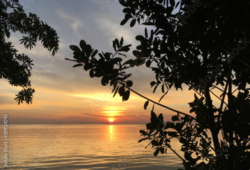 Harbour of Thailand