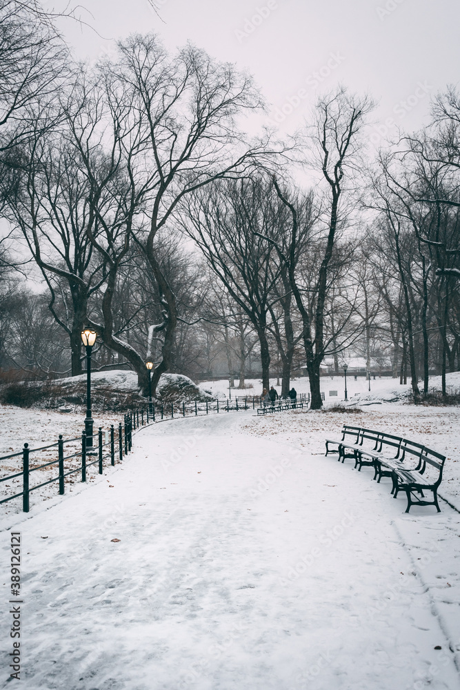 Snowy walkway in Central Park, Manhattan, New York City Snowy walkway in Central Park, Manhattan, New York City