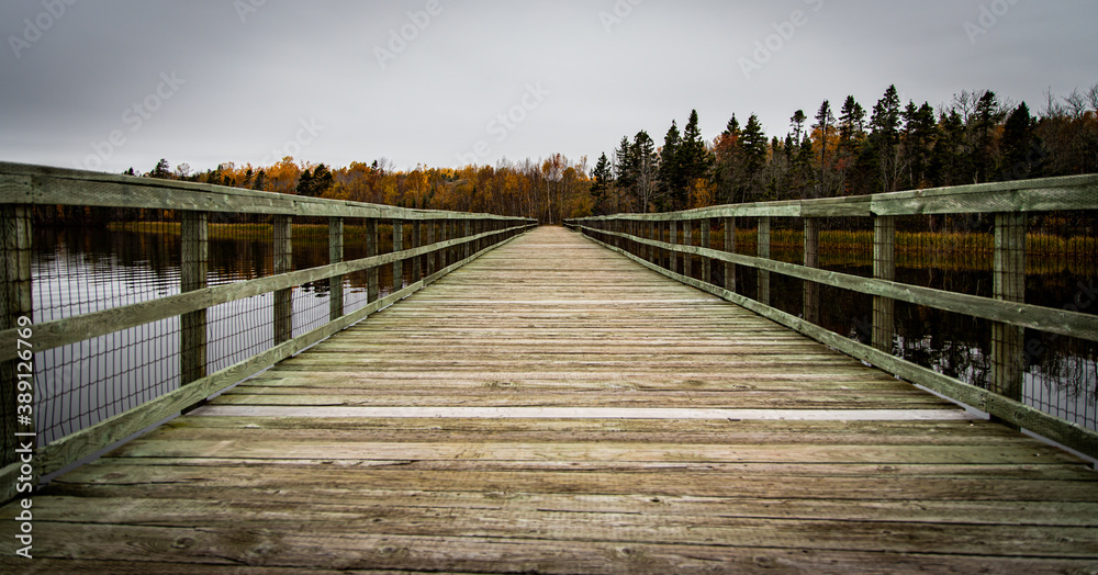 Obraz premium wooden bridge over the river