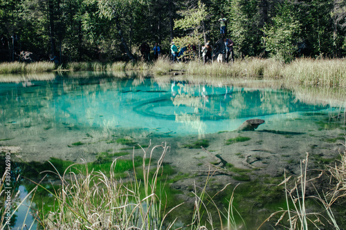 lake in the forest