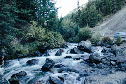 river in the forest