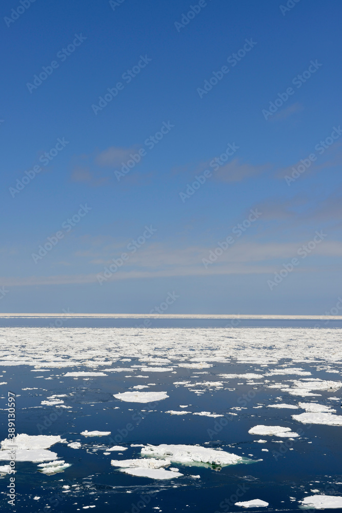 Obraz premium 流氷の海と青空（北海道・知床） 