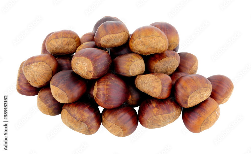 Group of uncooked Spanish chestnuts in shells isolated on a white background Group of uncooked Spanish chestnuts in shells isolated on a white background