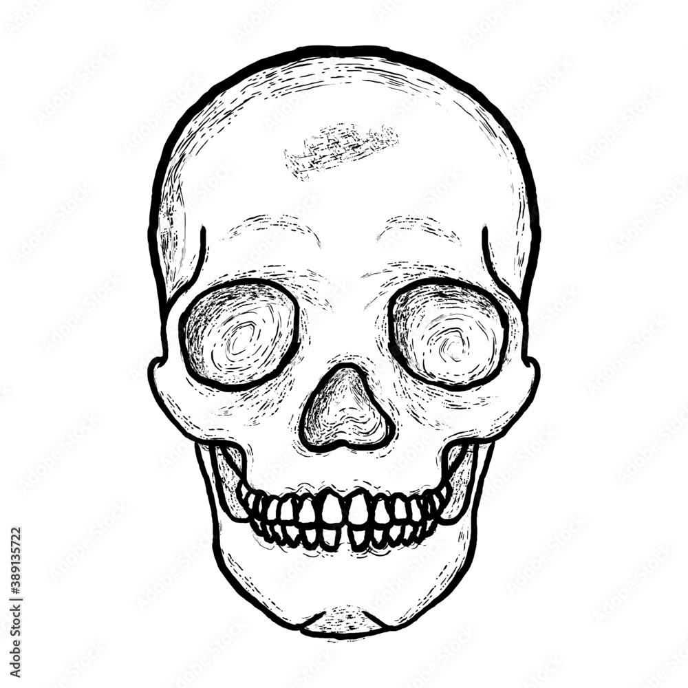 Skull Skull