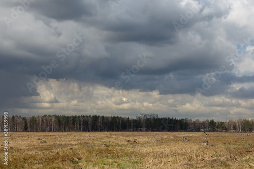 Storm clouds over a field on a summer day. Moscow region. Russia.