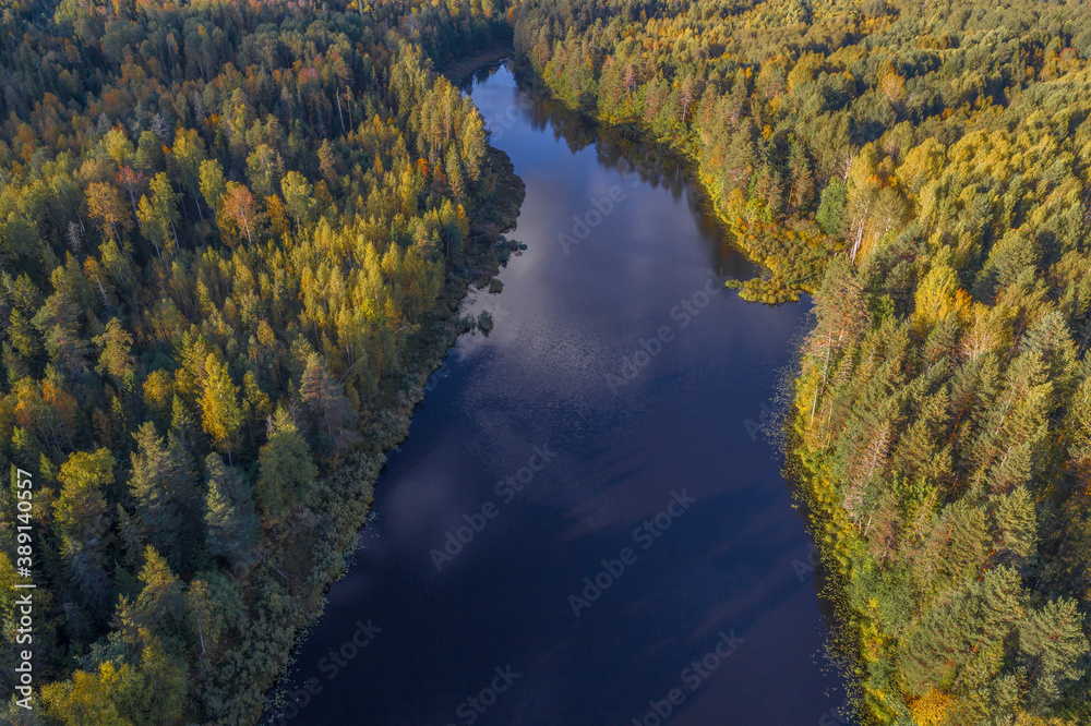 Over a narrow forest lake on a sunny September day (aerial photography). Kostroma oblast, Russia