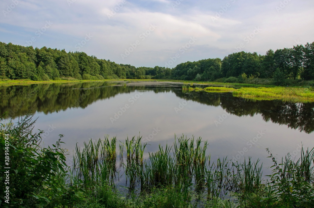 Forest lake and the reflection of trees in it on a Sunny summer morning. Moscow region. Russia. Forest lake and the reflection of trees in it on a Sunny summer morning. Moscow region. Russia.