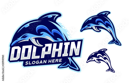 set of dolphin illustration