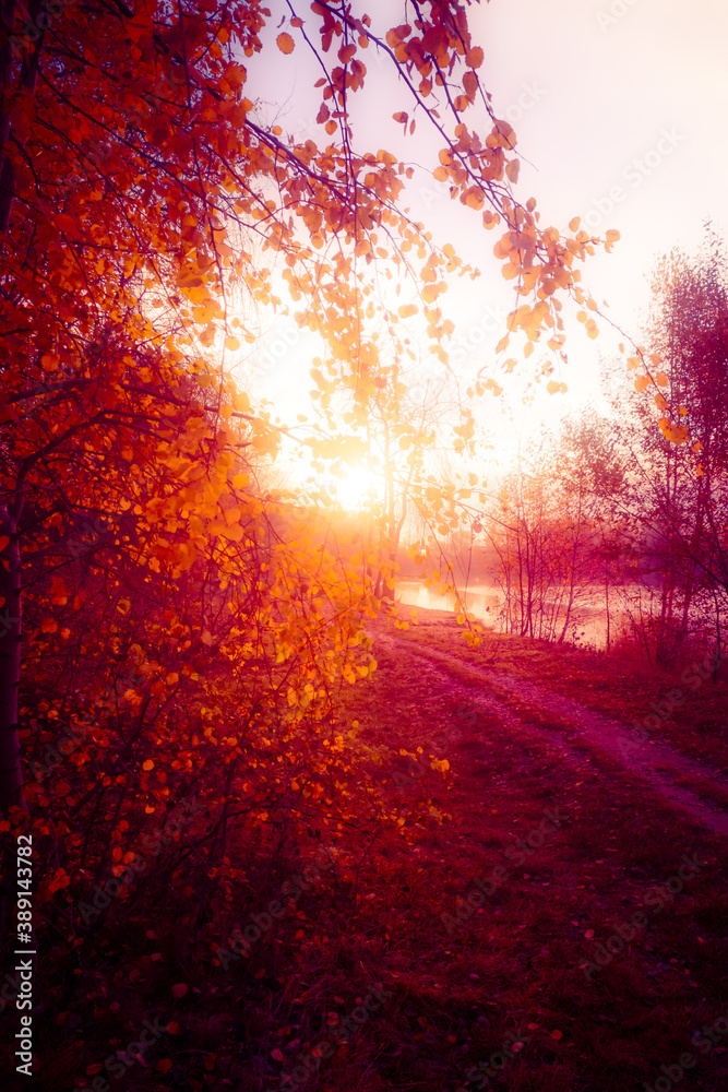 Autumn Sunrise