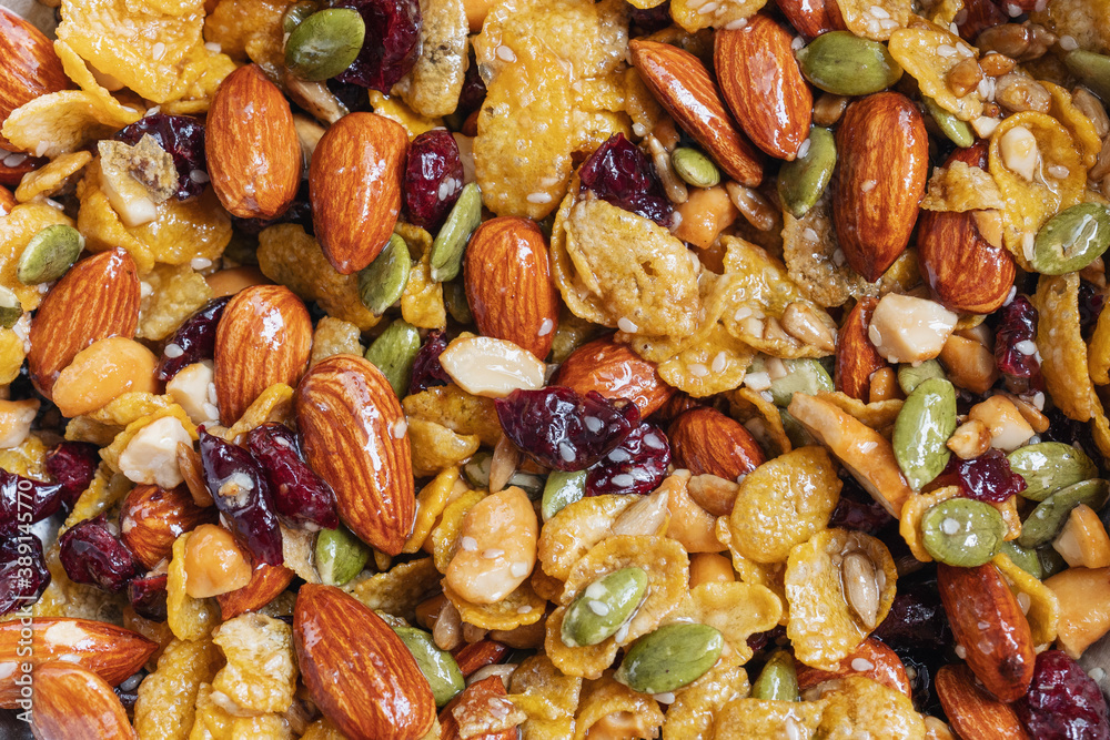 Cereal grain mixed with various nuts, dry cranberry and honey. Healthy cookie 