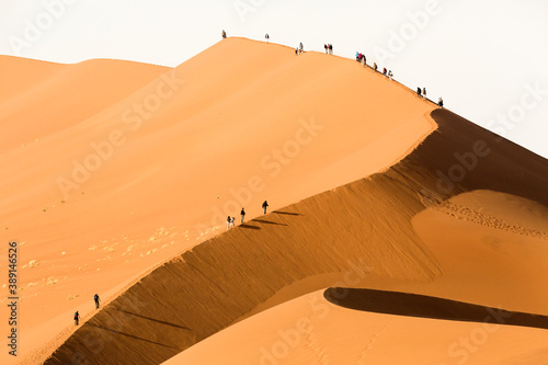 Tourists climbing a large red sand dune in Sossusvlei  Namibia.