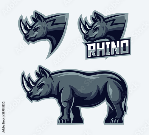 Set of  rhinoceros illustration