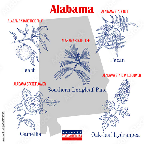 Alabama. Set of USA official state symbols