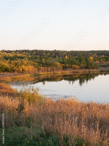 The banks, sky, and trees are reflected in the surface of the water. Lake in the autumn season. Beautiful romantic autumn dreary landscape