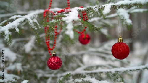 Christmas tree uotdoor with lights and shine, prepare for christmas holiday. photo