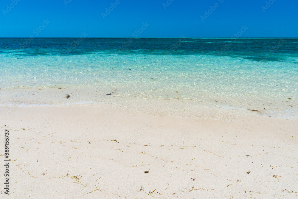 Obraz premium グリーン島の夏