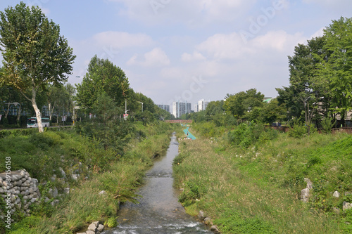 韓国の新都市：果川（グワチョン・Gwacheon）の街並み