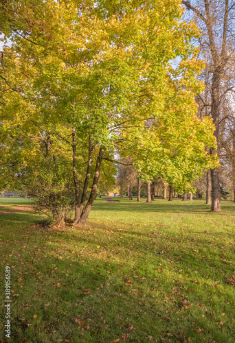 Autumn in a public park Oregon state.