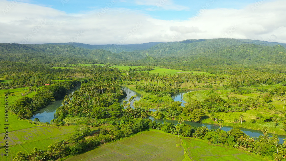 Tropical landscape with farmland and green hills, aerial drone. Philippines, Mindanao