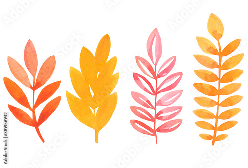 Watercolor Hand drawing Floral Autumn branch set