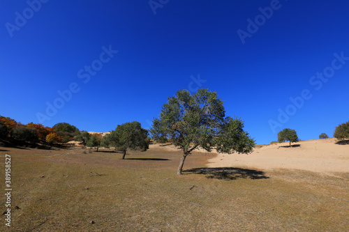 Natural scenery of Qingshan Park in Keshiketeng World Geopark, Inner Mongolia photo