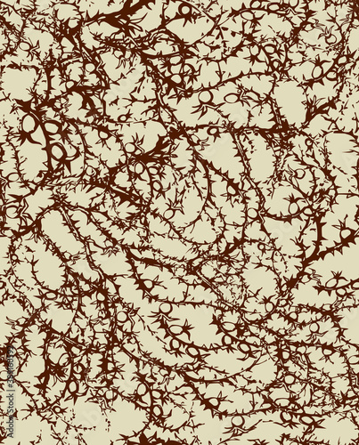 Branches of Blackthorn. Vector drawing
