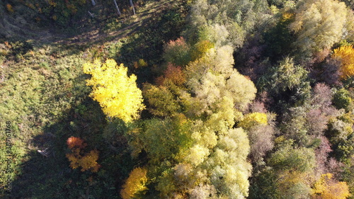Drohnenbild Vogelperspektive Herbstwald in Bayern; bunt gefärbtes Lauf, Baumwipfel