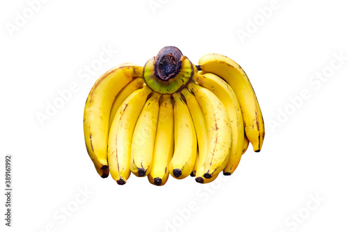 Fresh ripe yellow bananas group or Musa acuminata ( Gros Michel  )  isolated on white background with clipping path photo