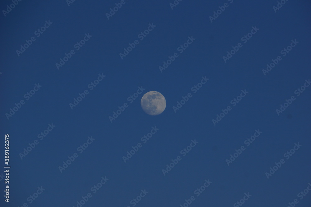 moon moon