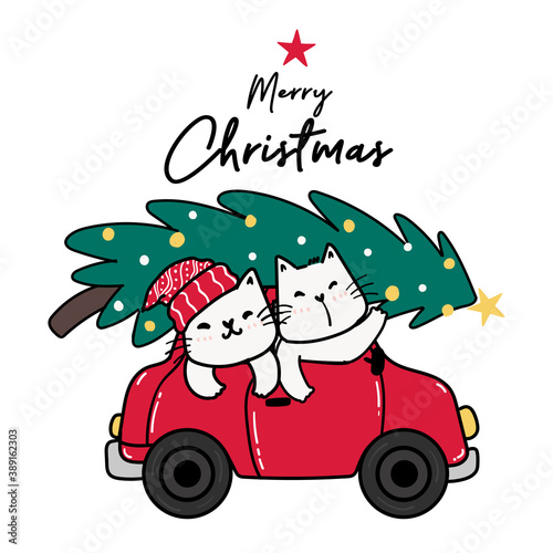 Happy friend cat drive in red car with Christmas pine tree on top  Merry Christmas  cute cat cartoon clip art element flat vector