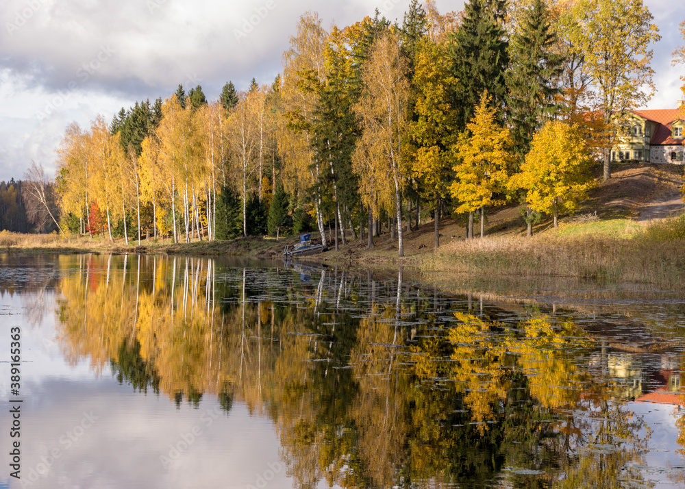 colorful autumn panoramas with yellow trees by the lake, beautiful and colorful reflections in the calm lake water, golden autumn