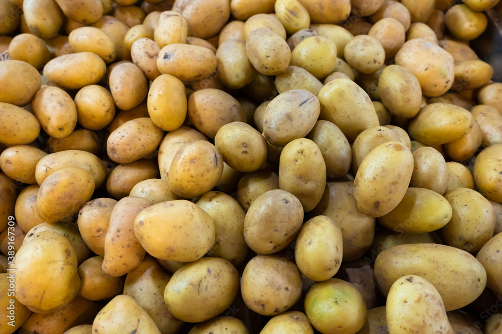 Potato. Lots of potatoes. The frame is filled with potatoes Potato. Lots of potatoes. The frame is filled with potatoes
