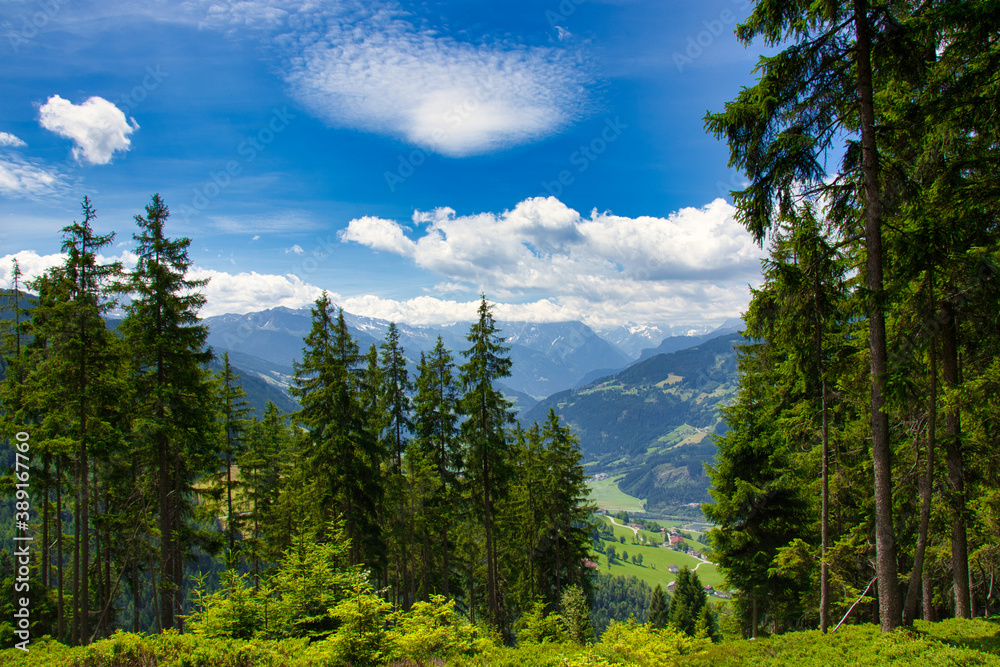 Fototapeta premium view of the zillertal in tyrol