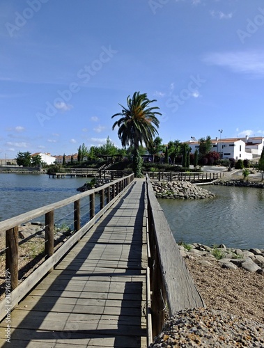 Modern wooden footbridge with palm tree at the La Coronada fishing pond, Extremadura - Spain