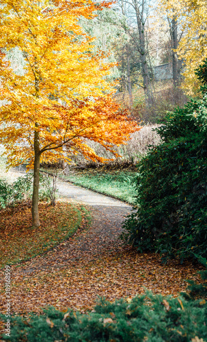 footpath in city park in autumn